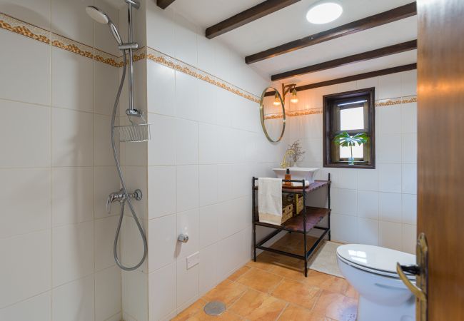 Cottage in Ingenio - Oldy and Goldy Gran Canaria Rural Cottage in Ingenio - Oldy and Goldy Gran Canaria Rural